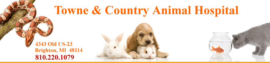 Welcome to Towne & Country Animal Hospital, located in 
Brighton, Michigan!