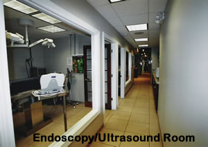Towne & Country Animal Hospital Endoscopy-Ultrasound Room