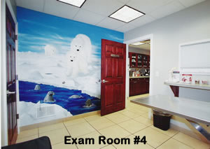 Towne & Country Animal Hospital Exam Room 4