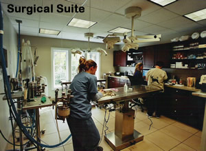 Towne & Country Animal Hospital Surgical Suite