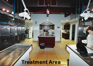 Towne & Country Animal Hospital Treatment Area