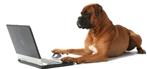 Welcome to Towne & Country Animal Hospital,
located in Brighton, Michigan!
