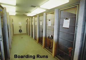 Towne & Country Animal Hospital Boarding Runs