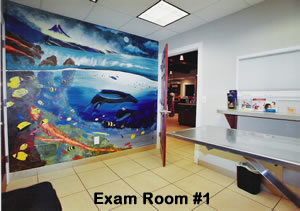 Towne & Country Animal Hospital Exam Room 1