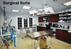 Towne & Country Animal Hospital Surgical Suite