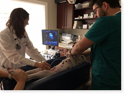 Ultrasound in progress